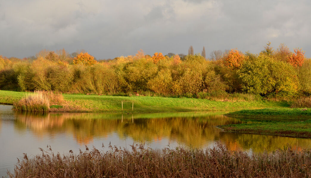 visitor-centres-warwickshire-wildlife-trust